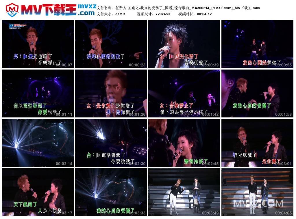 任贤齐 王宛之-我真的受伤了_国语_流行歌曲_MA300214